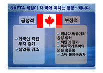 [경제론] NAFTA 나프타 체결이 미치는 영향-14