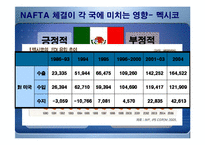 [경제론] NAFTA 나프타 체결이 미치는 영향-15