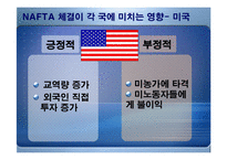 [경제론] NAFTA 나프타 체결이 미치는 영향-16