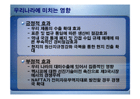 [경제론] NAFTA 나프타 체결이 미치는 영향-17