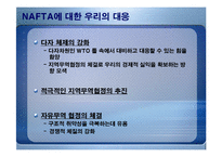 [경제론] NAFTA 나프타 체결이 미치는 영향-18