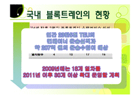[국제물류운송론] 블록트레인-5
