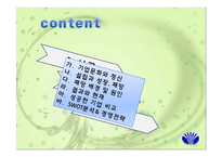 [경영전략론] 대우 성공과 실패 경영전략-2