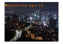 [관광자원] 도심 속 관광자원인 남산이 가지는 관광적 가치 및 특성-6