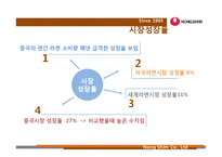[해외 시장 진출 전략 분석] 농심의 중국 시장 진출-13