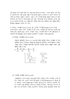 [기계공학] 스털린 엔진을 이용한 자동차의 설계-2