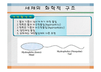 [화학] 합성세제-14