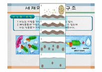 [화학] 합성세제-15