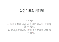 미생물 실험 레포트-2