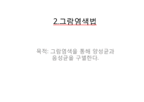 미생물 실험 레포트-11