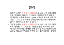 미생물 실험 레포트-12