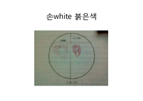 미생물 실험 레포트-13