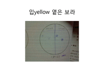 미생물 실험 레포트-15