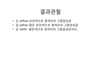 미생물 실험 레포트-16