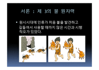 [과학사] 원자력 발전소 미래 에너지로의 가능성-3