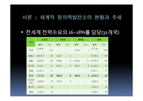 [과학사] 원자력 발전소 미래 에너지로의 가능성-6