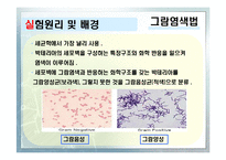 [화학공학실험] 그람염색법과 박테리아관찰-4