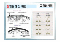 [화학공학실험] 그람염색법과 박테리아관찰-5