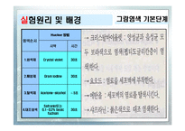 [화학공학실험] 그람염색법과 박테리아관찰-6