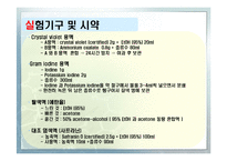 [화학공학실험] 그람염색법과 박테리아관찰-8