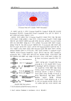 속도실험 레포트-11