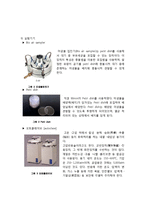 총부유세균(Bioaerosol) 실험-5
