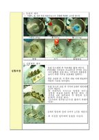 [재료역학] 시멘트 모르타르의 압축강도 실험 방법(KS F 5105)-2