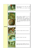 [재료역학] 시멘트 모르타르의 압축강도 실험 방법(KS F 5105)-3
