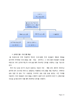 [사업계획서, 이비지니스] 온라인 헬스 케어 서비스-13