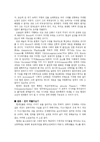 [독일문화] 독일연극과 브레히트의 서사극-17