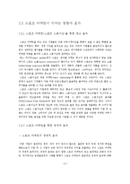 스포츠 마케팅의 경제적 효과-12