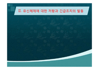 [역사] 긴급조치시대-4