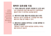 [결혼학] 부부관계사례를 통하여 본 바람직한 부부생활을 위한 방향-19
