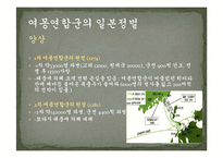 한국 파병의 역사-6
