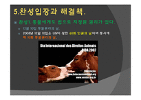 [생명윤리] 동물의 권리 -동물실험-13
