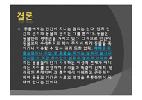 [생명윤리] 동물의 권리 -동물실험-19