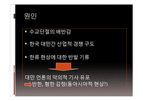 [국제사회] 대만의 반한 감정과 수교단절-4