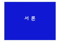 [여성과 정치] 여성 성상품화-3