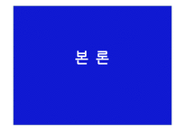 [여성과 정치] 여성 성상품화-8