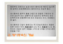 [가정문화] 세시풍속-4