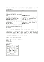 약리학 증례통의 보고서 -진통제 치료의 부작용-5