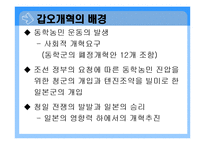 갑신정변 갑오개혁-11