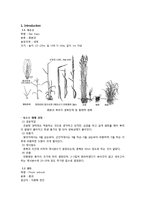 [작물 재배관리] 옥수수, 완두, 감자-2