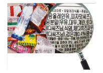[영양학] 식품첨가물-14