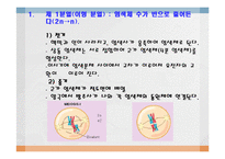 [임목육종학] 감수분열-3
