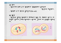 [임목육종학] 감수분열-4