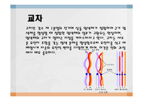 [임목육종학] 감수분열-5