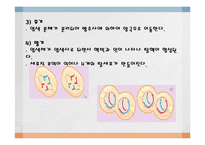 [임목육종학] 감수분열-7