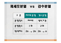 [임목육종학] 감수분열-9