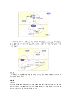 [마케팅] 00700(국제전화시장)을 통해 본 한국인의 정서-11